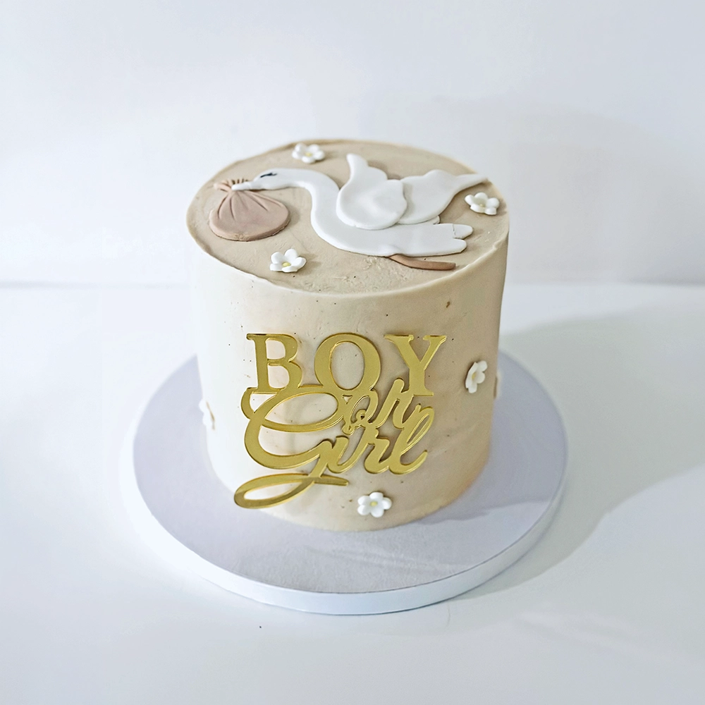 Gender_Reveal-3